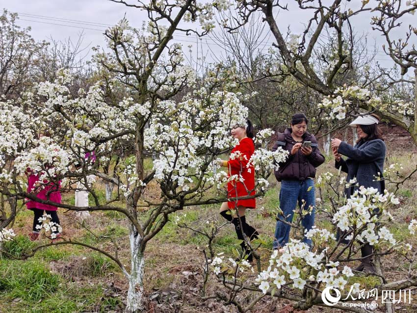 游客徜徉在花間。人民網記者 劉海天攝