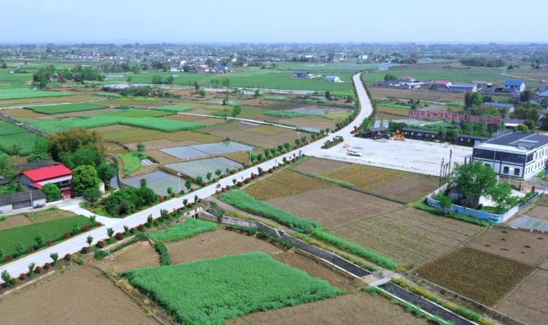 農發行綿陽市分行支持的安州區稻蔬現代農業園區項目。農發行綿陽市分行供圖