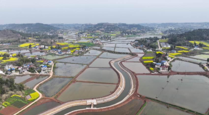 春耕生產的美好畫卷。主辦方供圖