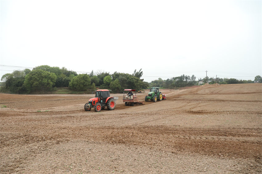 三臺功能各異的農用機械呈一列縱隊，開展高粱播種作業。陳星宇供圖