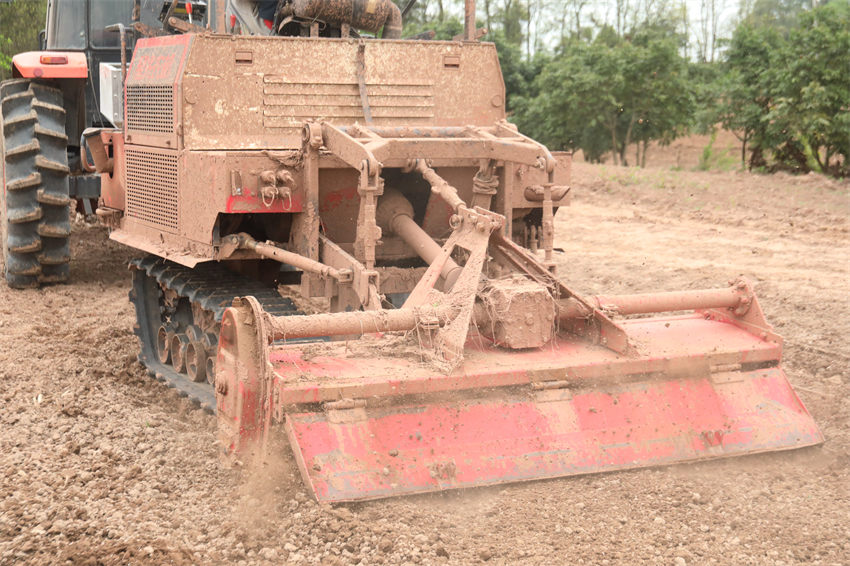 旋耕機翻轉土壤將肥料埋進土壤下層。陳星宇供圖