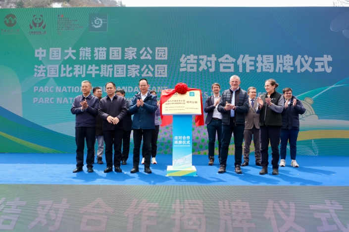 4月1日，中國大熊貓國家公園與法國比利牛斯國家公園結對合作揭牌儀式現場。新華社記者 張雅雯 攝