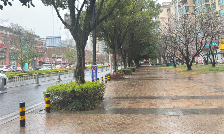 萬安街道雅居樂花園小區外干凈整潔，煥然一新。四川天府新區融媒體中心供圖