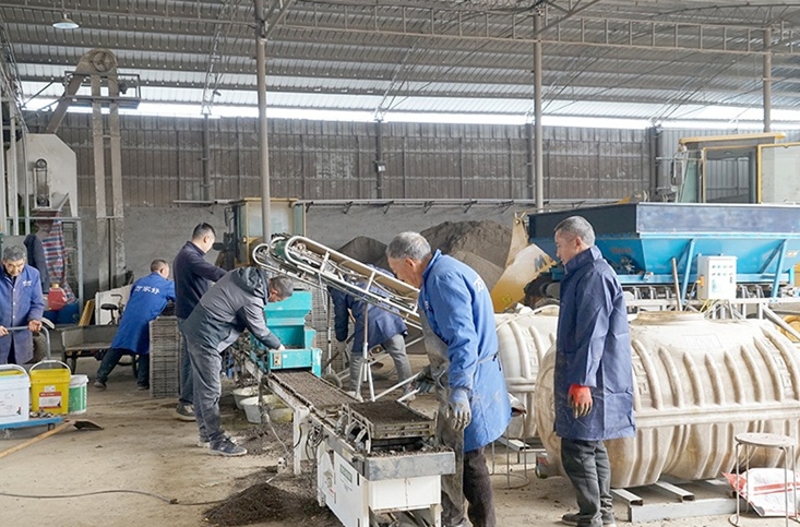 早稻育秧“工廠化” 春耕生產跑出“加速度”