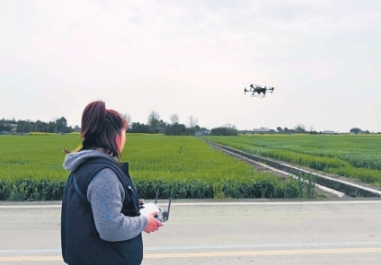 夫妻回村當“飛手”周夢鑫說，以前村民都是背著噴霧器人工噴灑農藥，現在植保無人機一天可以噴灑700畝，效率大大提升了。