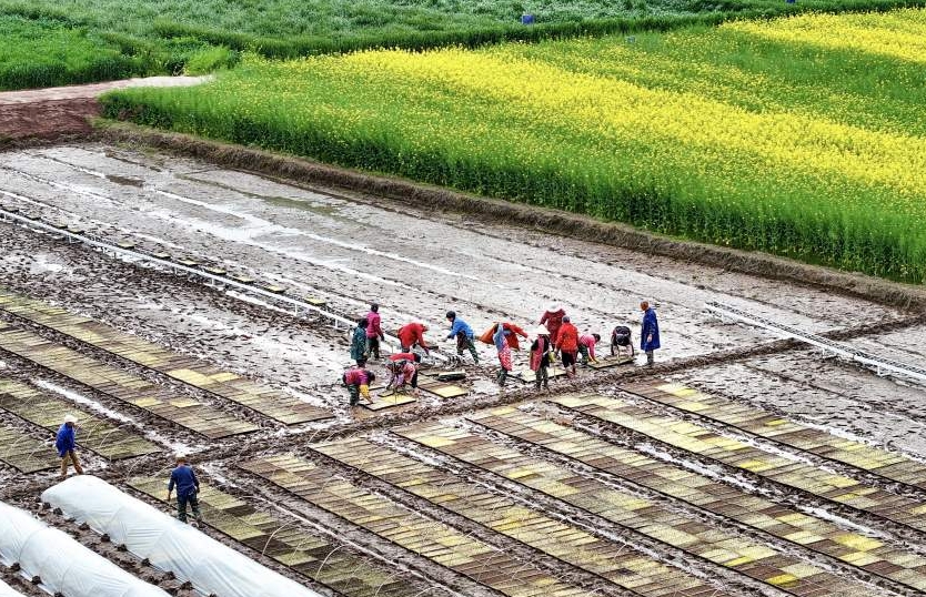 齊心協力，為新一年的農業豐收鉚足干勁。