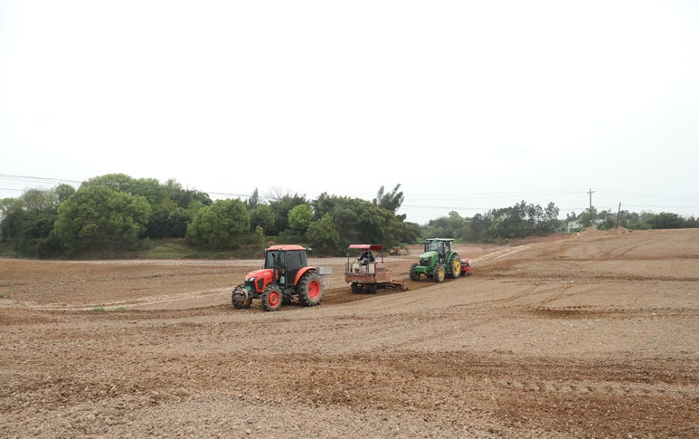 開展高粱播種作業。