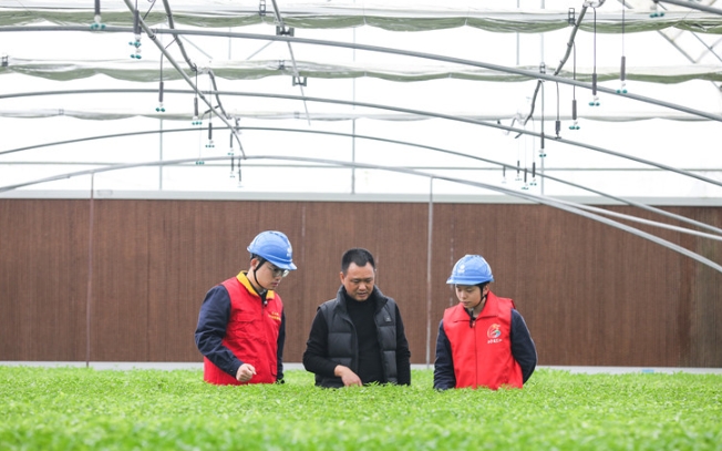 檢查育秧中心設備。