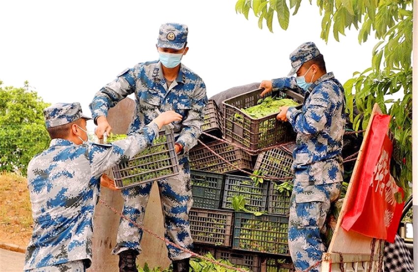 為駐遂部隊送蔬菜。李謹益、杜鵑供圖
