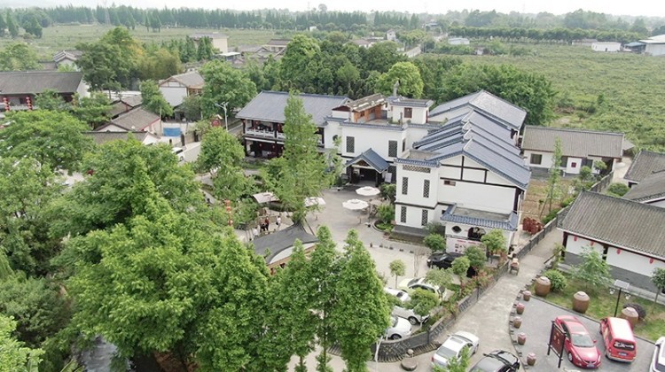 九龍鎮棚花村。綿竹市融媒體中心供圖