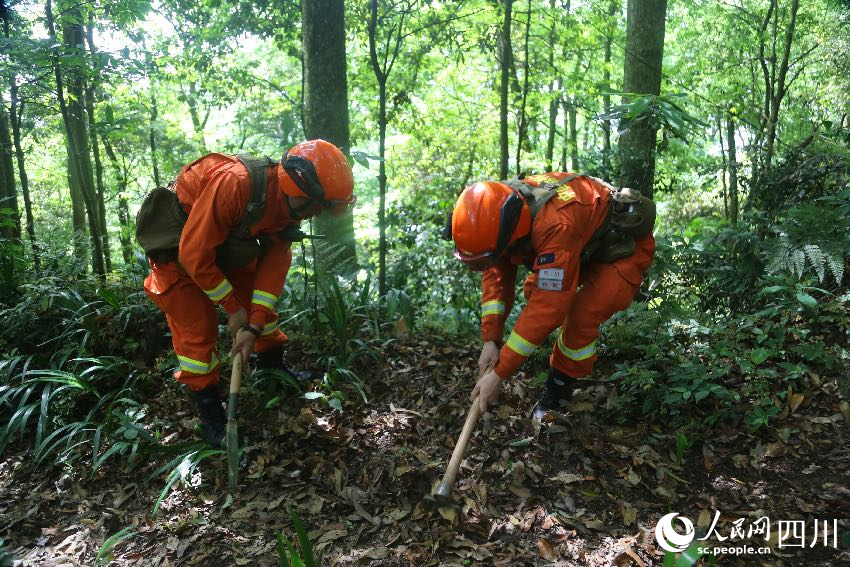 5月1日，在景區林區巡護的消防員正在清理堆積的枯樹枝。程雪力攝