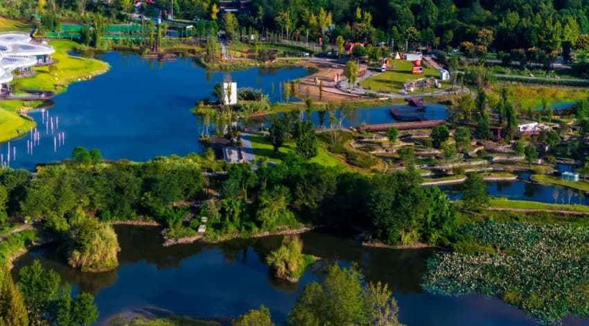 金馬河-魯家灘濕地公園。溫江區河長辦供圖