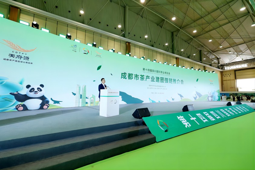 活動現場。主辦方供圖