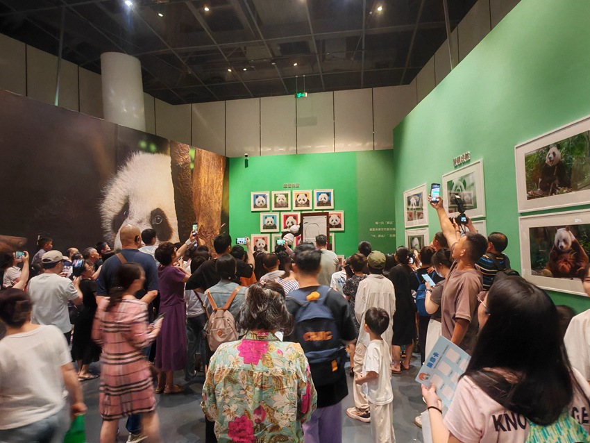 “自然謎語·博物致知”——518走進成都自然博物館系列主題活動。主辦方供圖