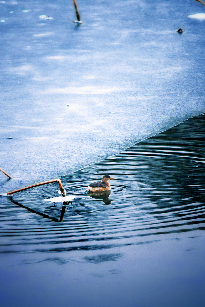劉崗003職務職務職務職務職務職務職務職務職務職務職務職務003查看詳情培育會呼吸的“人工樹葉“003眼前這位“80”后，不僅是金屬研究所太陽能光催化分解水綠氫制備技術研究的學術帶頭人，還是中國科學院100余家研究所中最年輕的“掌門人”之一。003