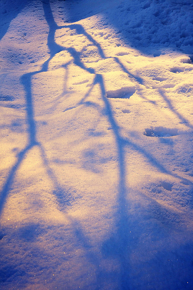 標題標題標題標題標題001