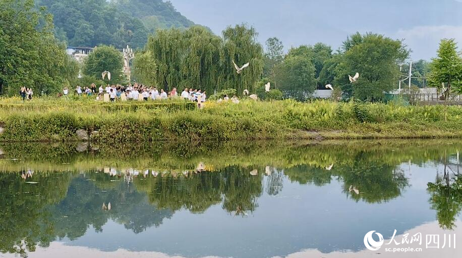 朱鹮放飛現場。人民網記者 朱虹攝