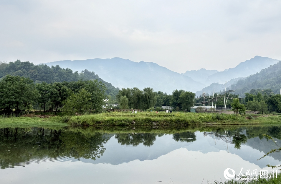 朱鹮放飛現場。人民網記者 朱虹攝