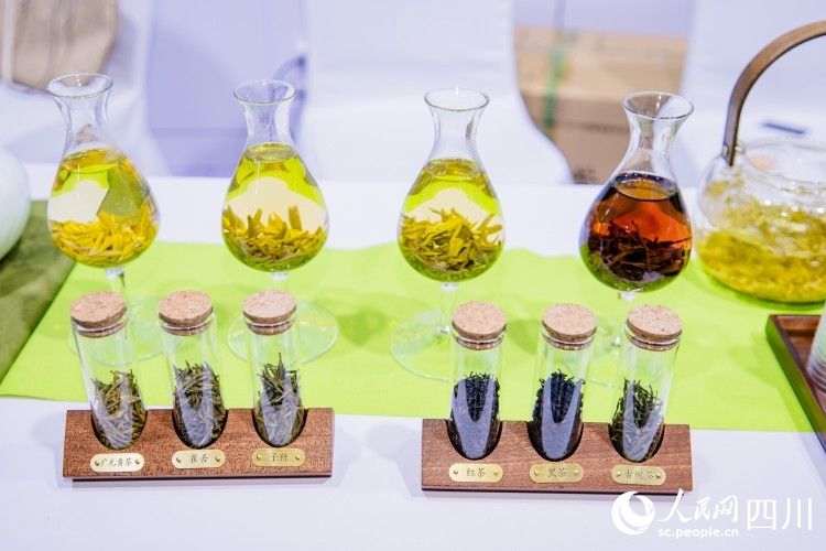 廣元茶展示。人民網記者 王波攝