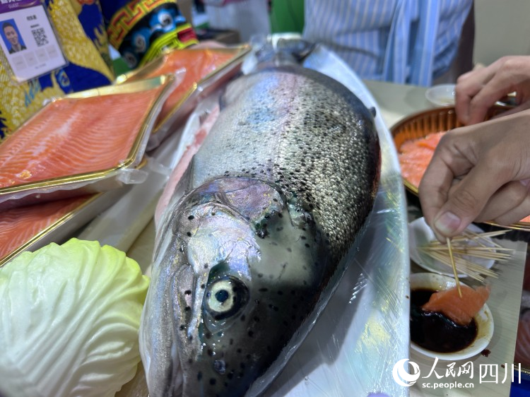 理縣生態養殖魚。人民網記者 王波攝