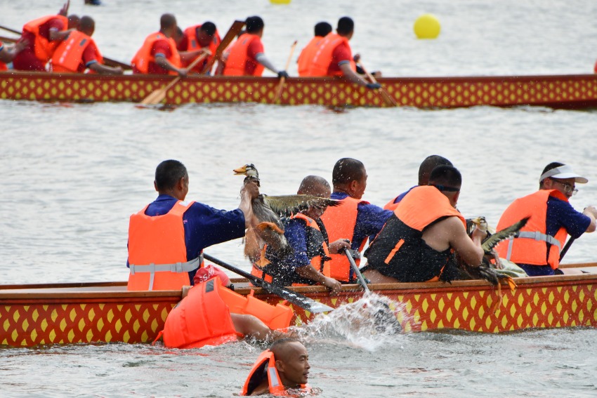 龍舟隊搶到鴨子。人民網 趙祖樂攝