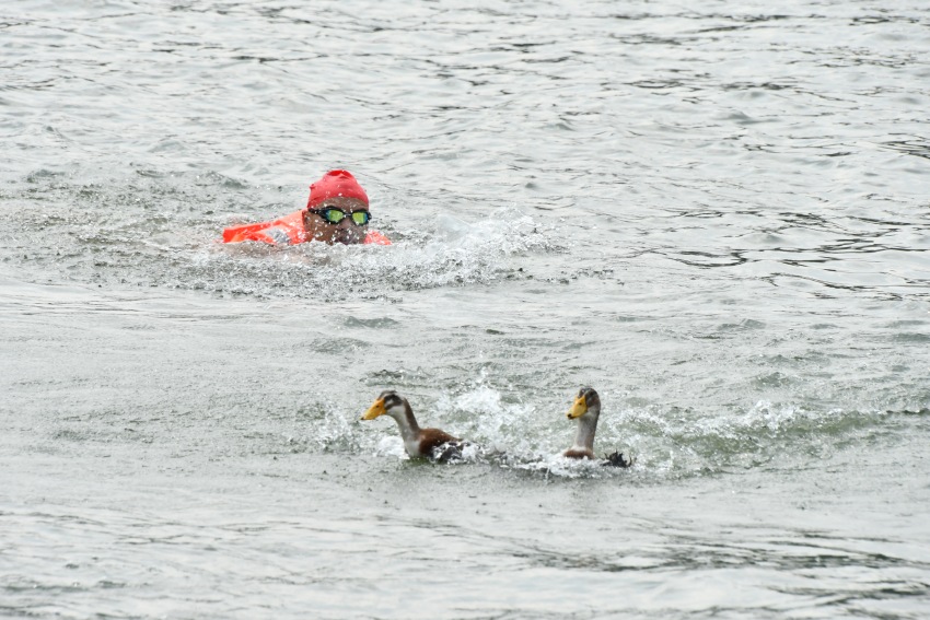 龍舟選手代表下水搶鴨子。肖瑤攝