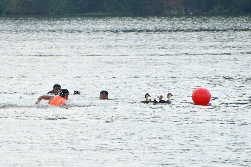 搶鴨子現場。人民網 趙祖樂攝