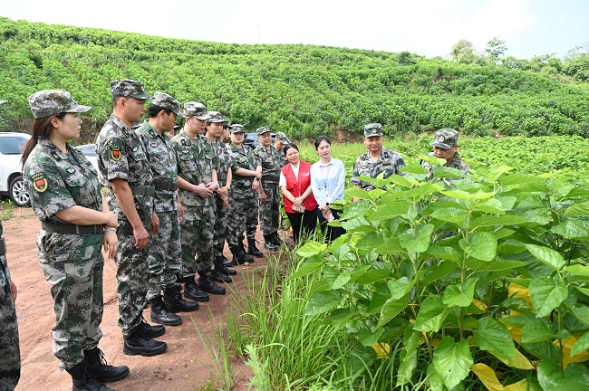參觀桑園。蔣兵供圖