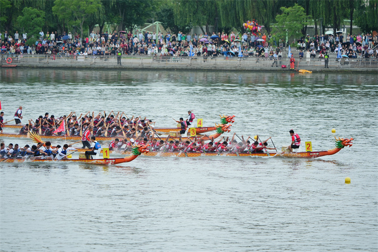 龍舟賽競技現場。張越供圖