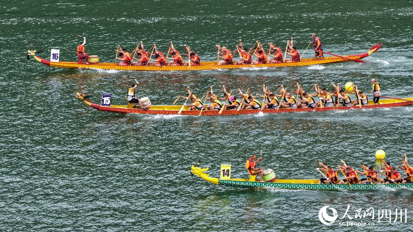 龍舟比賽。任冠金攝