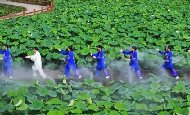 沉浸式中醫藥文旅體驗活動在荷塘間打太極拳，在花叢中學八段錦，在藥田里包中藥粽……這些既酷又時尚的活動，在鄉村刮起一股“國潮風”。