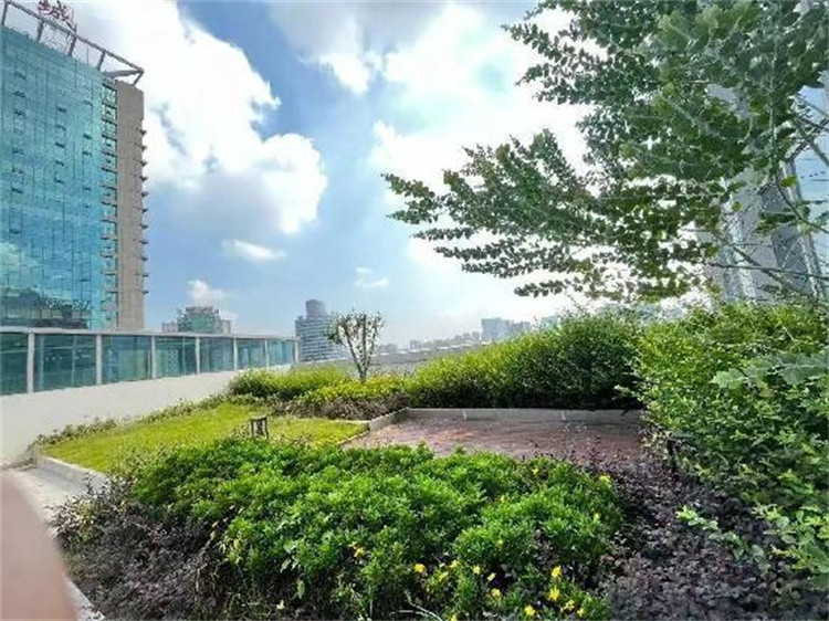 升級后數字金融大廈的綠化環境。黃成薇供圖