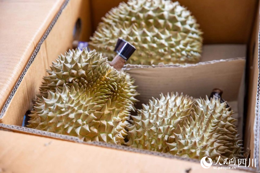 運抵的泰國進口榴蓮在分撥中心由貨主方進行抽檢。人民網 趙祖樂攝