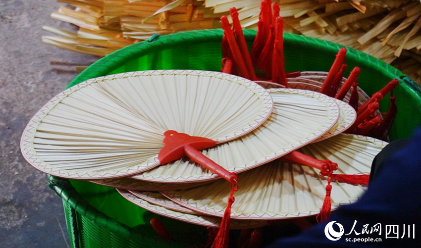 剛制作好的蒲扇。何佳倩攝