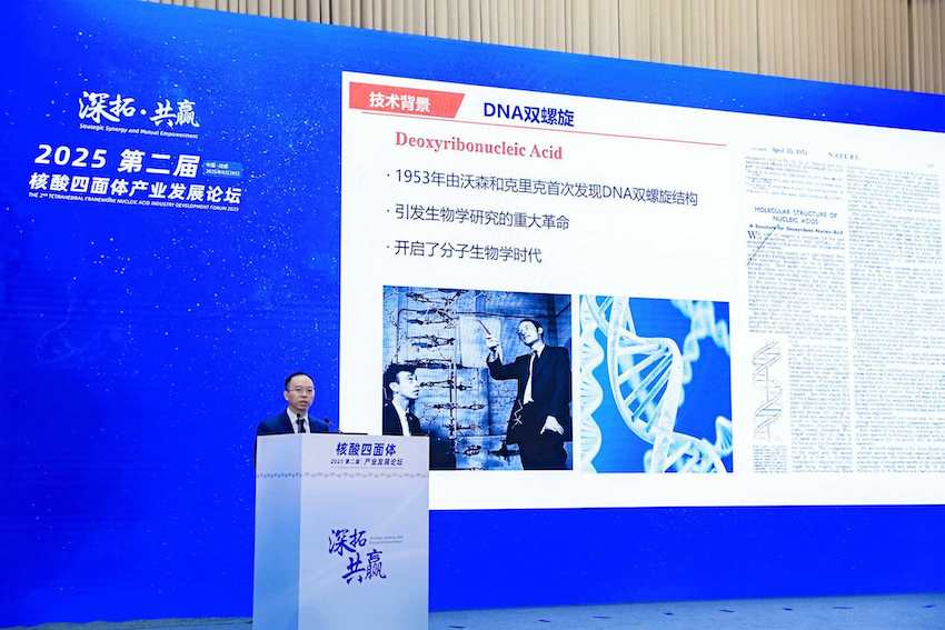 四川大學林云鋒教授學術報告。主辦方供圖