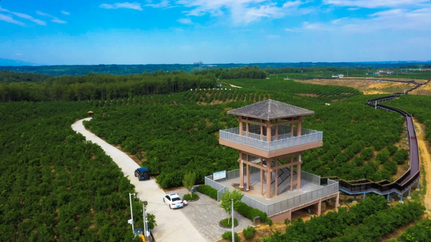 產業園區鳥瞰圖?；ㄇD鎮黨委供圖