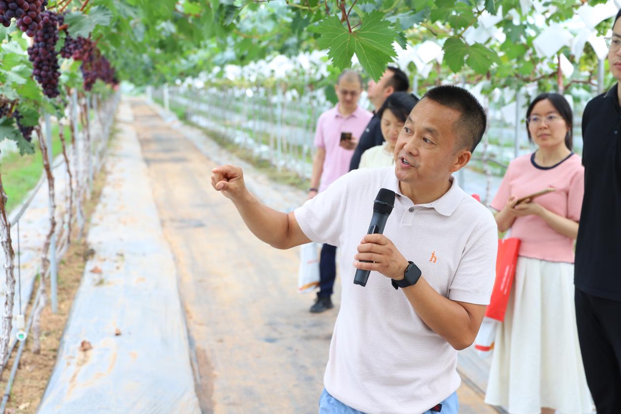 15b18e67aa222112ea5189c5a3d18f33_