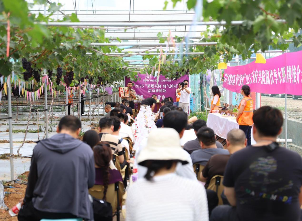 626873cc5196694ab01063bb249d7609_