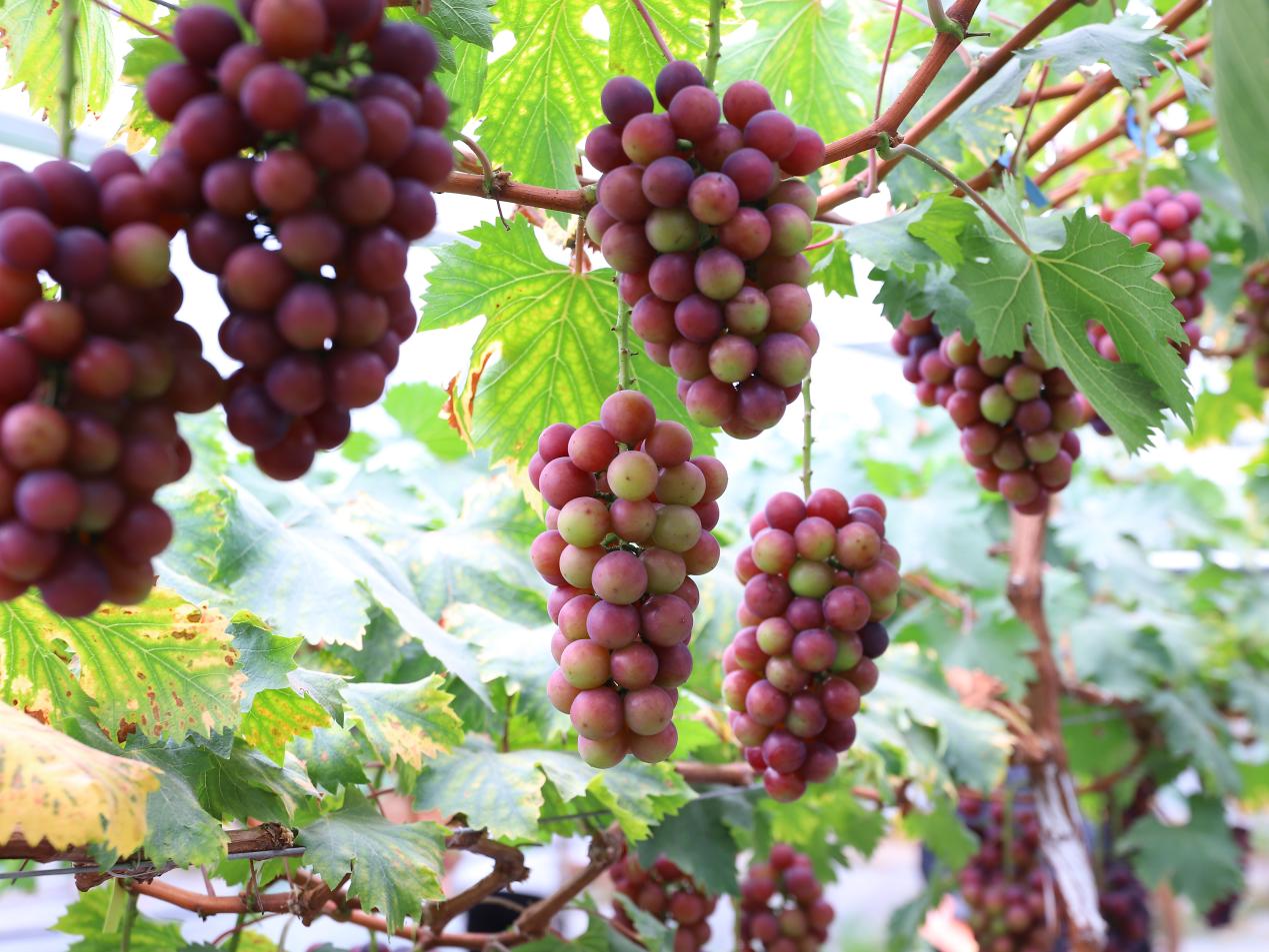 9e0468044f5e2f115c6bb35285766429_