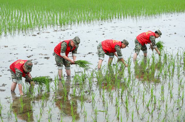 四川華鎣：紅色熱土綻放新時代雙擁之花