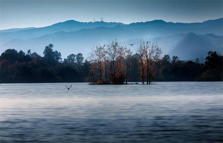 三岔湖的煙波浩渺。主辦方供圖