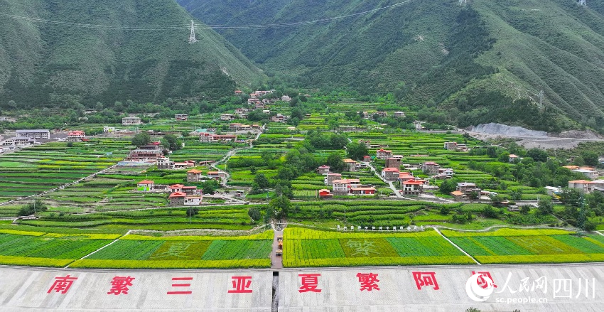 俯瞰夏繁高地。劉文佳攝