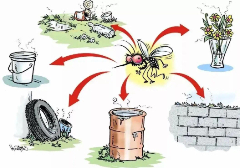 伊蚊潛在的孳生場所。汶川縣中醫醫院供圖