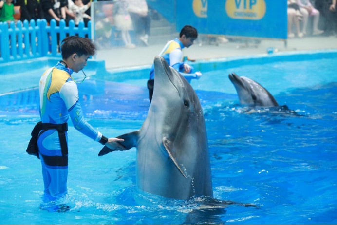 水上表演。主辦方供圖