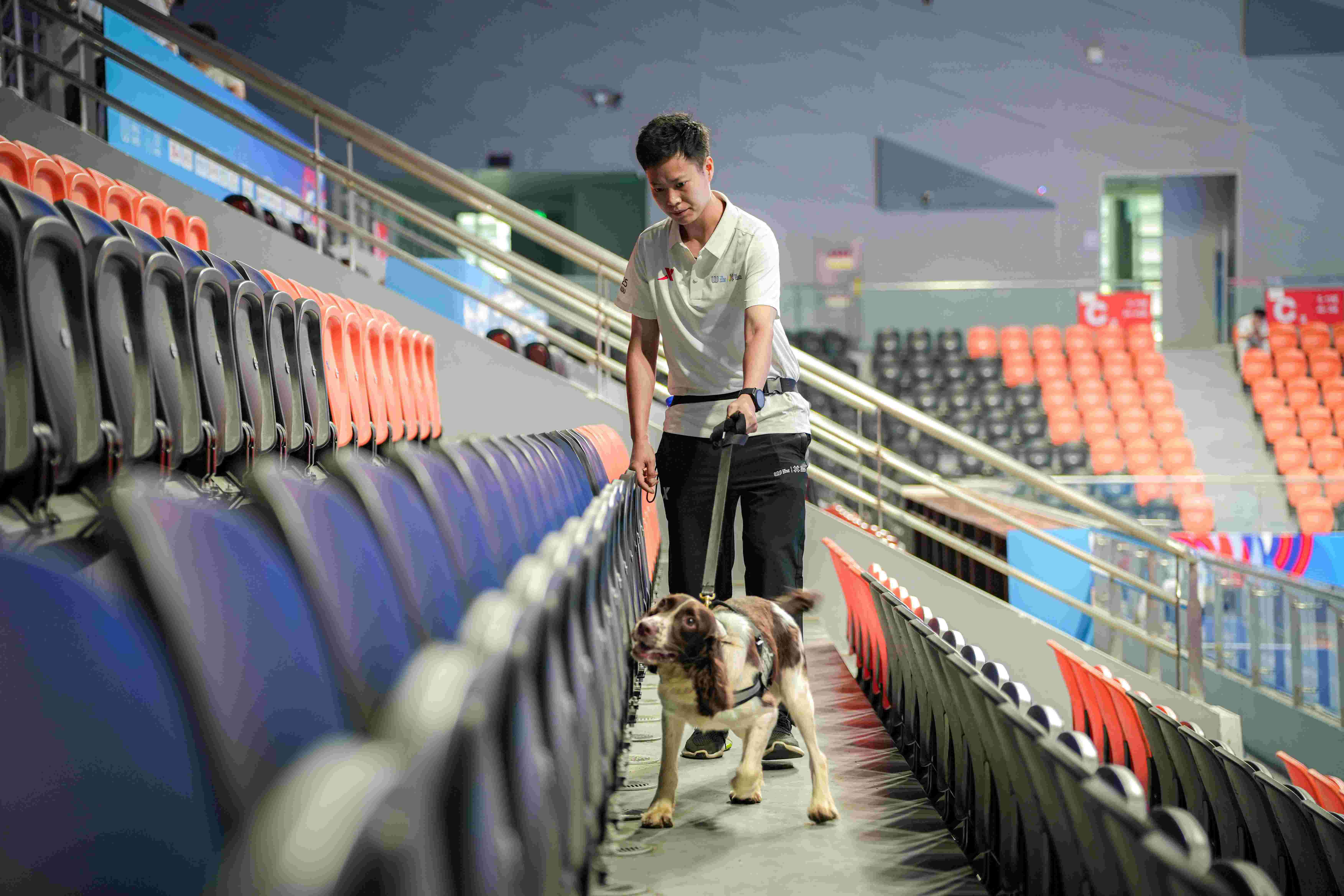 訓犬員吳遠倩與搜爆犬雷霆對觀眾席進行安檢。新都公安供圖