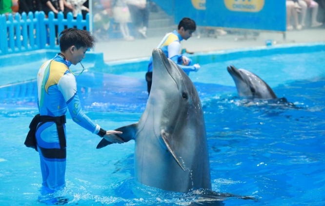 成都極地海洋公園：打造屬地主題的生活新聚點