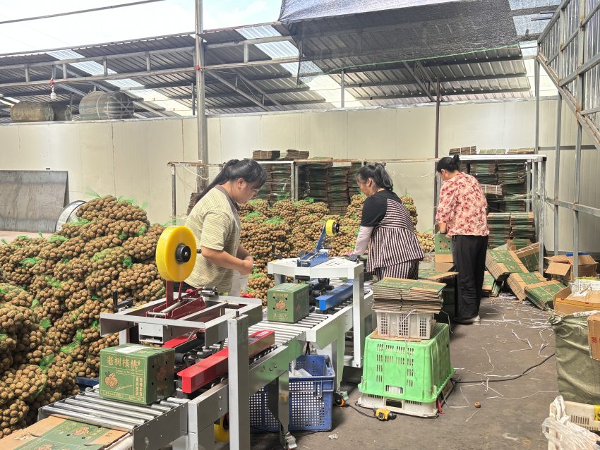 正在對核桃打包。德昌縣委宣傳部供圖