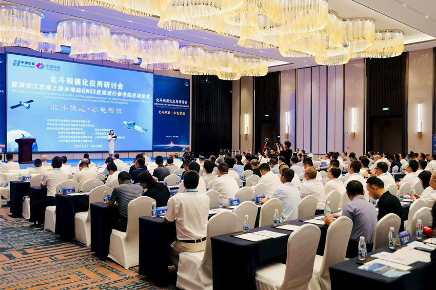 活動現場。主辦方供圖