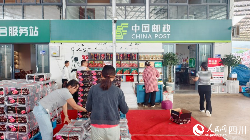 便捷的快遞水果專線為姜州石榴產業發展插上騰飛的翅膀。人民網 趙祖樂攝