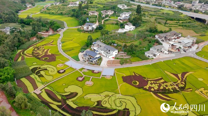 會東縣姜州田園綜合體中和村（部分）。人民網 趙祖樂攝